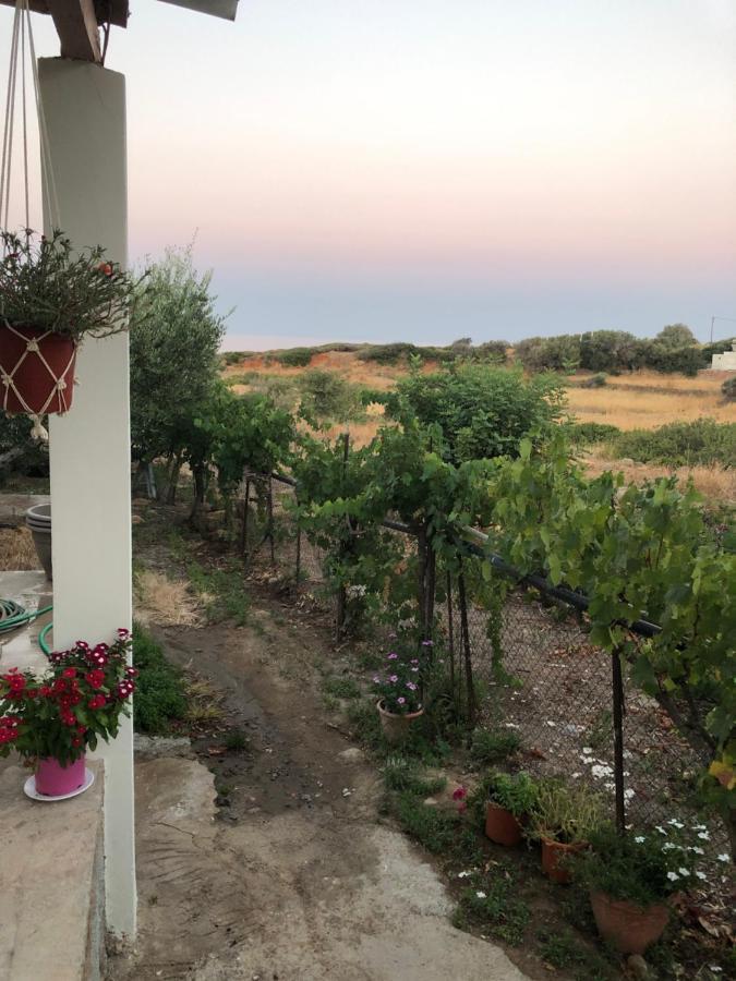 Country house Ambelakia