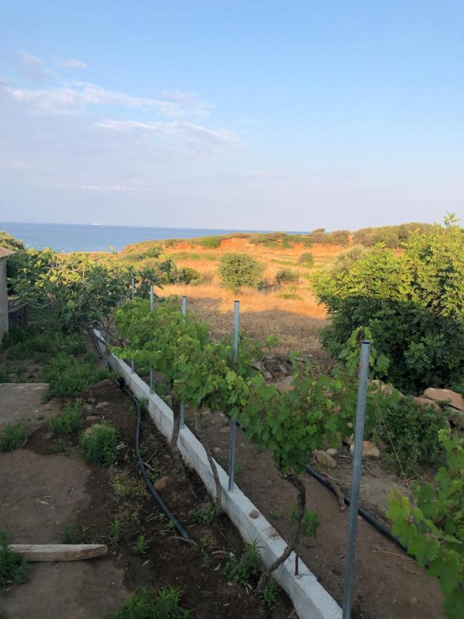 Country house Ambelakia